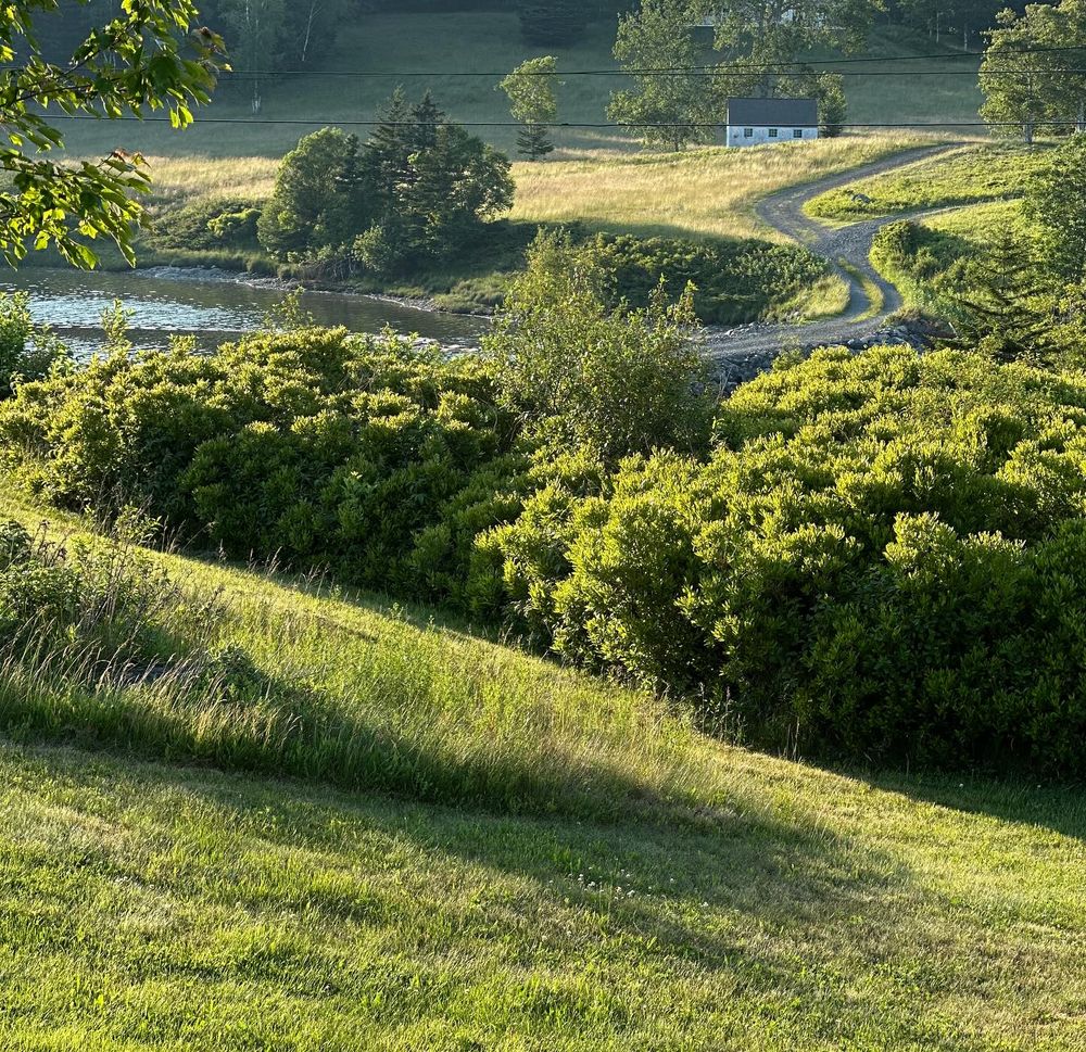 The view over Middle Road's fields and the winding road beyond